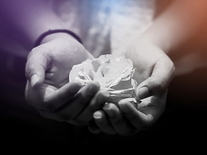 HandsHoldingFlower