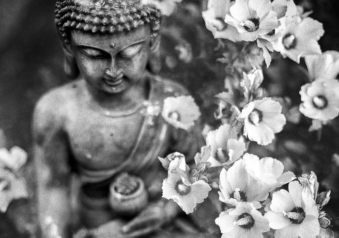 BW_BUddha